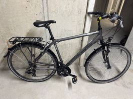 CALIFORNIA Trekkingbike
