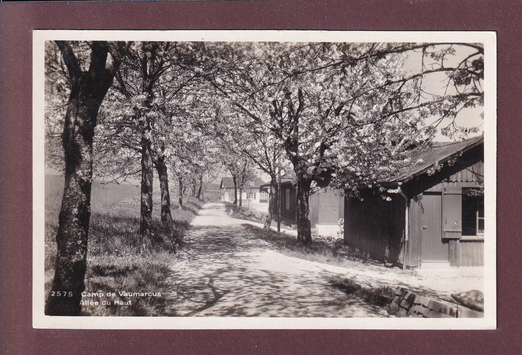 Cartoline postali: Camp de VAUMARCUS - Allée du haut – Usato da Pully venduto da nicecards