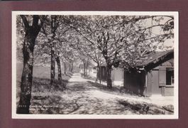 Camp de VAUMARCUS - Allée du haut