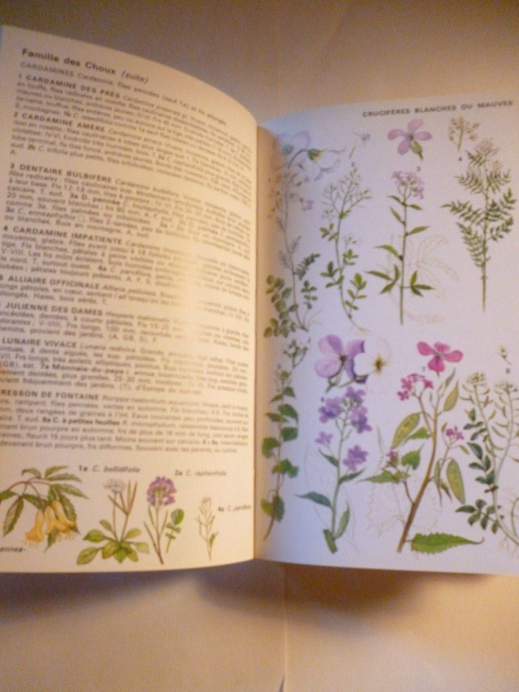 Libri: Guide des fleurs sauvages 6ème édition R.Fitter-A.Fitter... – Usato da Montreux venduto da dodeskaden 5