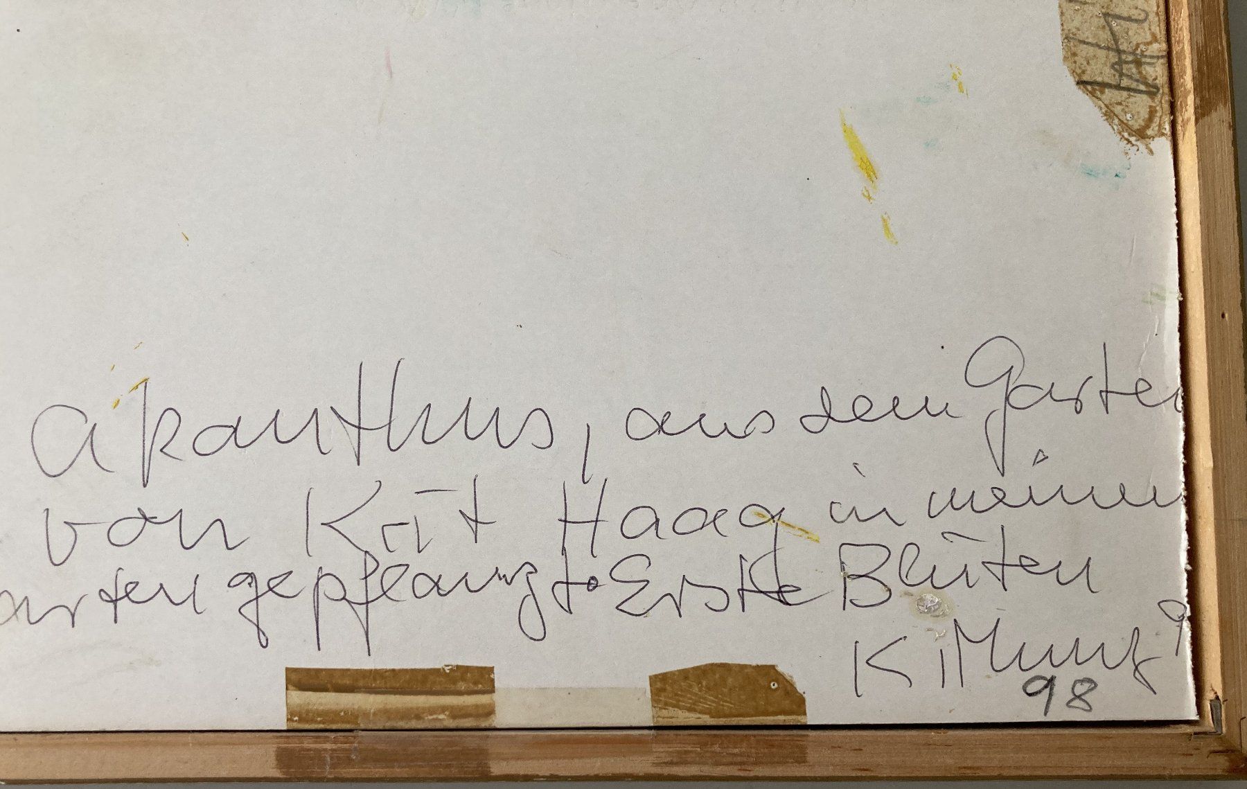 Dipinti: Munz Katharina. Blühende Akanthus – Usato da Frauenfeld venduto da picowalo 1