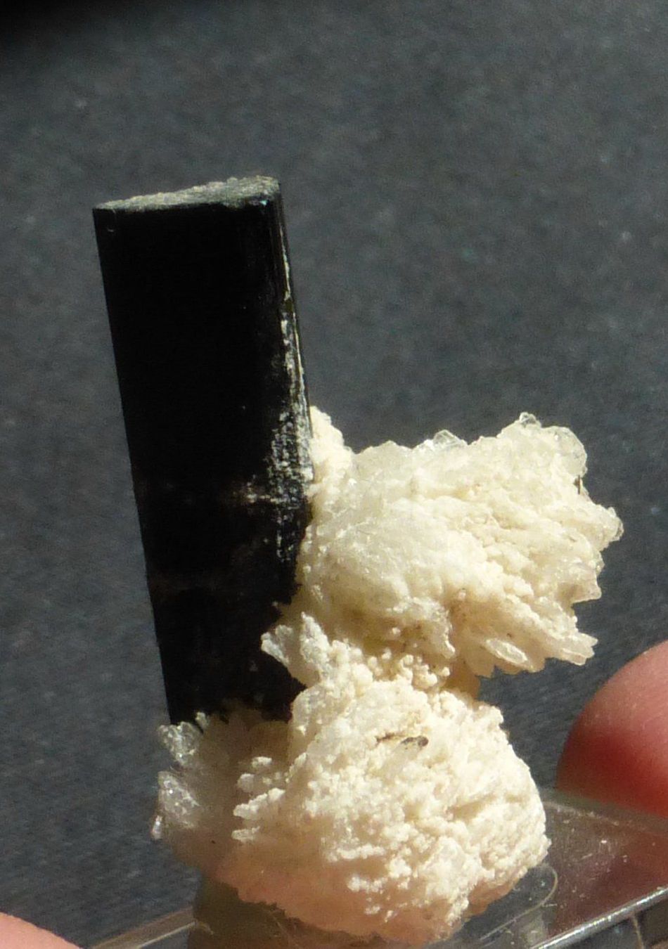 Minerali & Pietre curative: Turmalinkristall mit Cleavelandit – Nuovo (secondo la descrizione) da Weidling venduto da natebutz 1