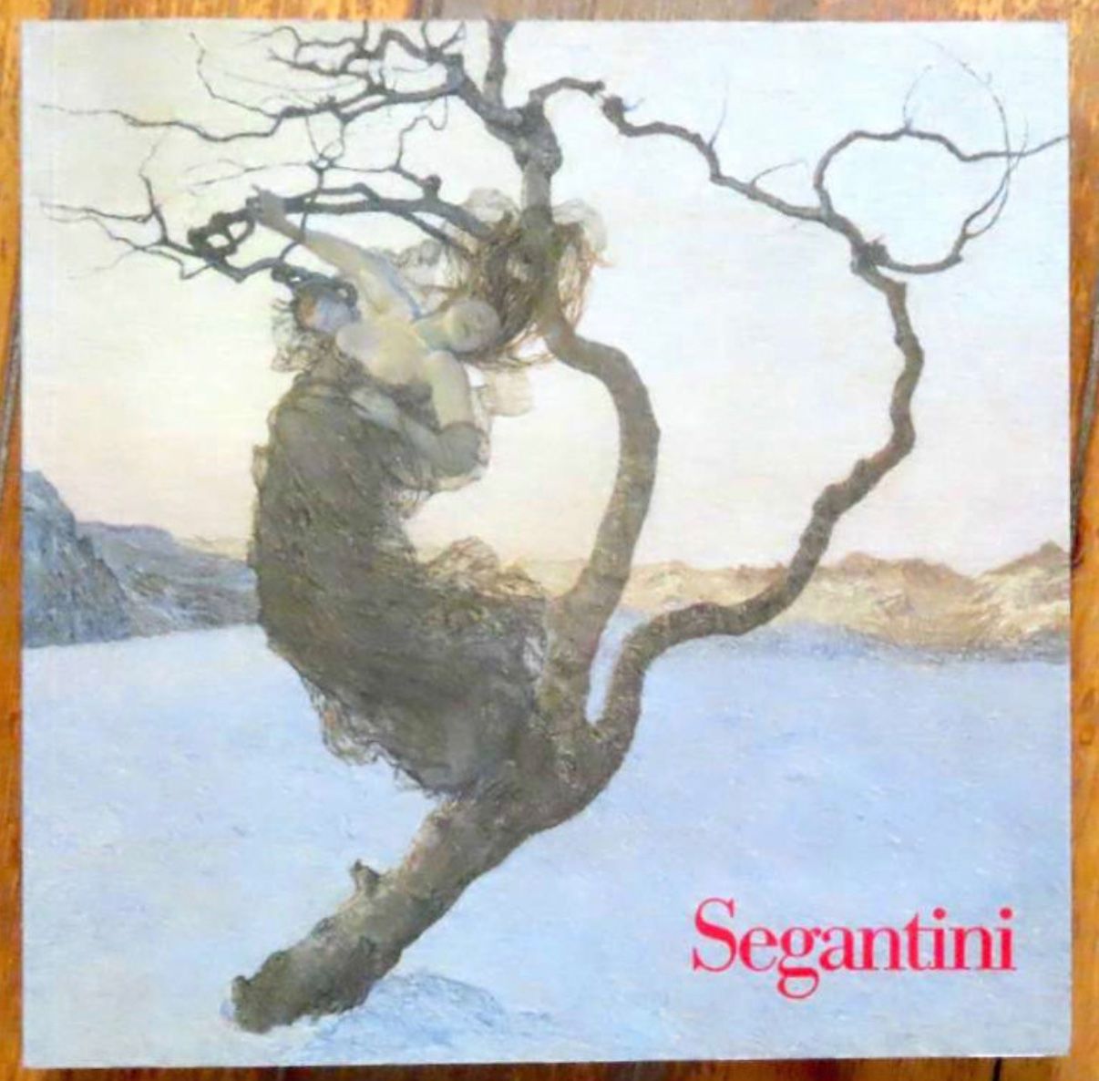 Libri: Giovanni Segantini 1858-1899 – Usato da Le Locle venduto da LibrairieLaBergerie