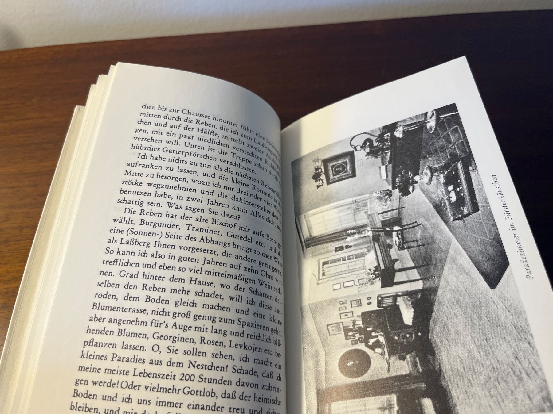 Bücher: Buch - Das Meersburger Droste-Büchlein, Restle – Gebraucht aus Luzern von Jiggy_8898 8