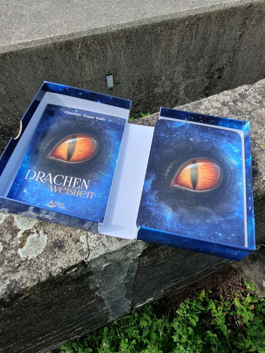 Giochi: Kartenbox Drachenweisheit 43 Karten – Usato da Wimmis venduto da hel_m26m 2