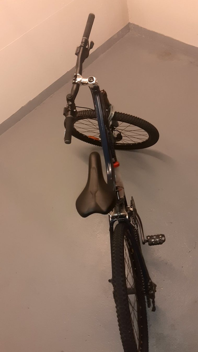 Specialized Velos: SPECIALIZED STUMPJUMPER COMP BIKE – Gebraucht aus Bern von  1