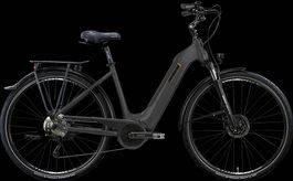 BICICLETTA BOSCH 65Nm ELETTRICA LOMBARDO MONTECATINI