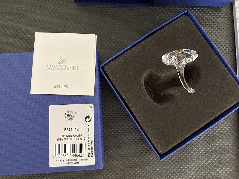 Swarovski Statuette: SCS Wildflower – Usato da Airolo venduto da Hmagnum