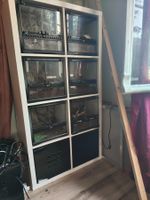3x Terrarium Grösse M