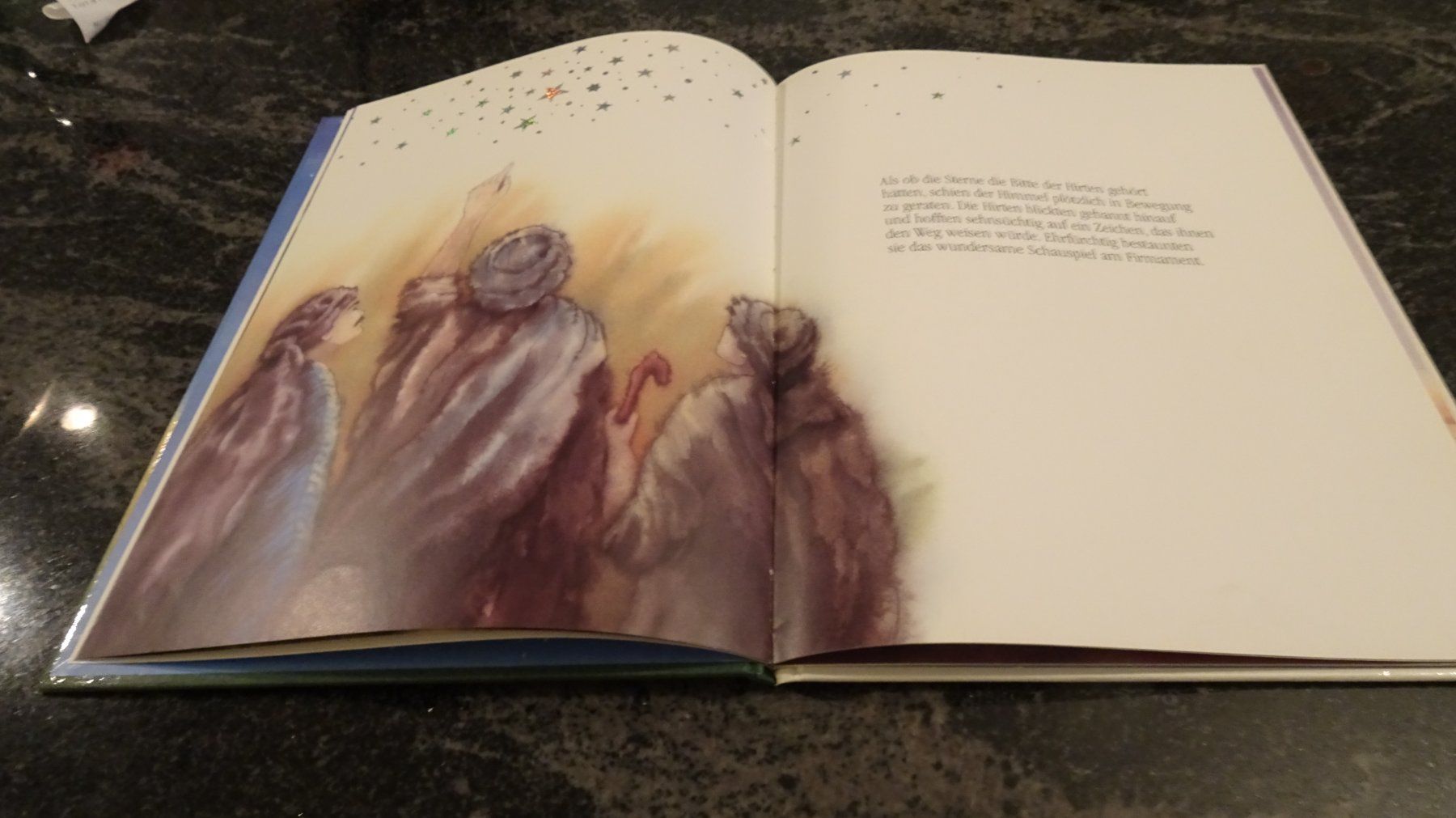 Libri: Der Weihnachtsstern mit Glitzereffekt  Marcus Pfister – Usato da Zürich venduto da Roulet 5