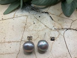 SONDERANGEBOT grosse Perlenohrstecker