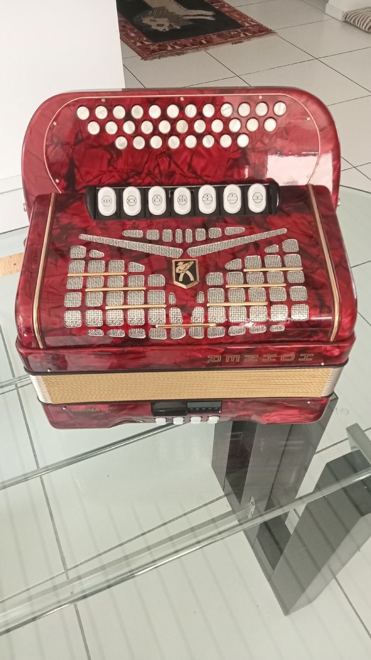 Hohner Strumenti musicali: Diatonische Handharmonika – Usato da Gwatt (Thun) venduto da Oldidoc