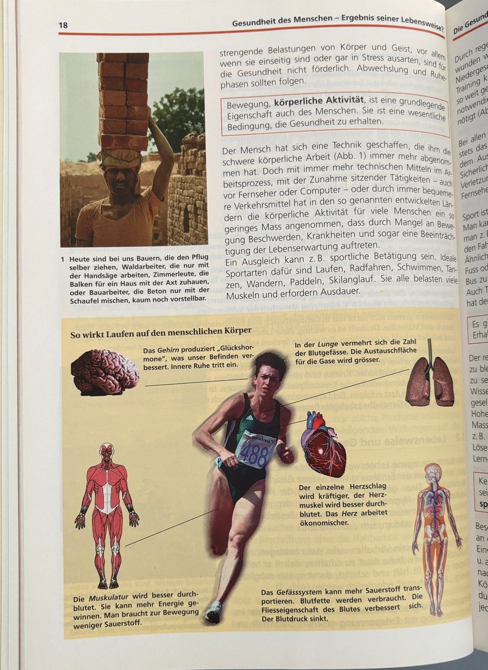 Libri: Natur-Mensch-Technik - Gesundheit – Nuovo (secondo la descrizione) da Sarnen venduto da Livres 5