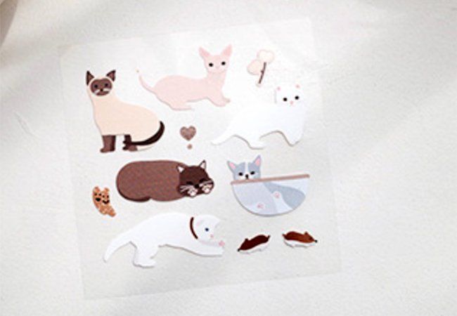 Wiederverwendbare Fensteraufkleber Mit Katzen-Motiven – Selbsthaftend, Made In Germany