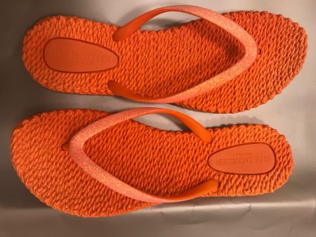 Ilse Jacobsen Flip-Flops