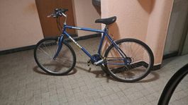 VELO