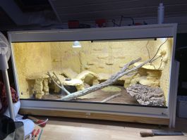 Terarium