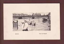 GENEVE - Les Cygnes au Pont des Bergues - 1921