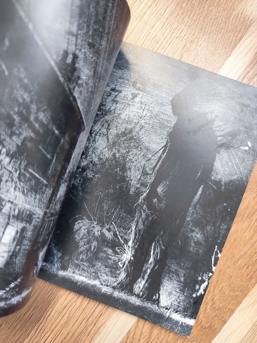 Libri: A Monster Calls by Patrick Ness – Usato da Mägenwil venduto da VintageGirly 1