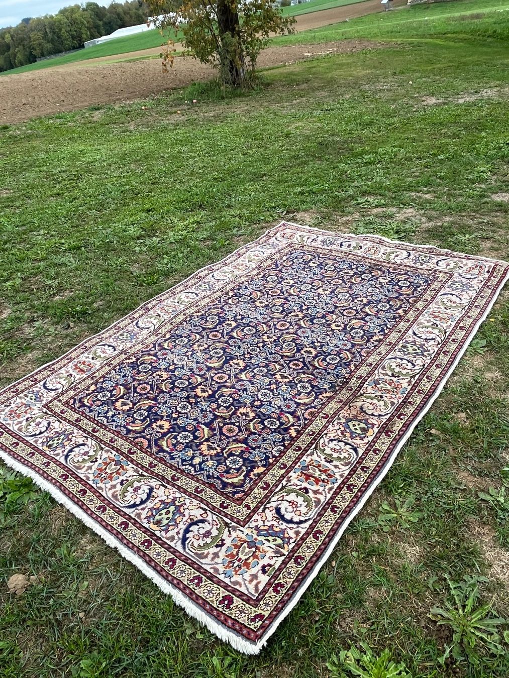 Tapis: Orient Teppich Handgeknüpft – D'occasion à Allmendingen b. BE par juair 5