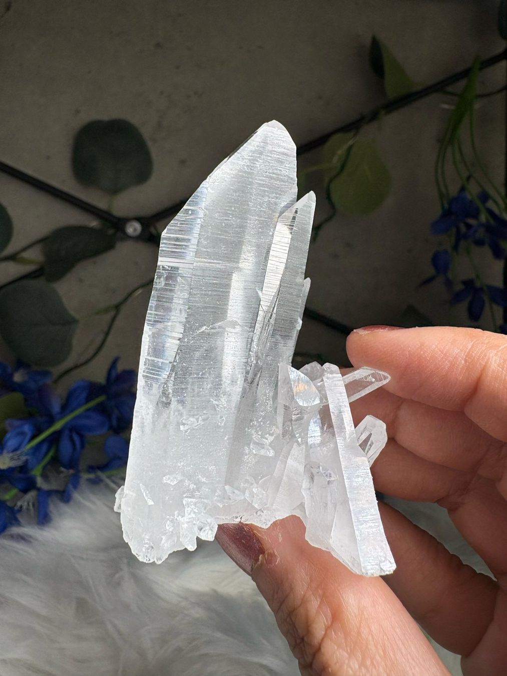Minerali & Pietre curative: Kolumbianischer Lemurian-Quarz-Cluster – Nuovo (secondo la descrizione) da Neuheim venduto da m.hald 5