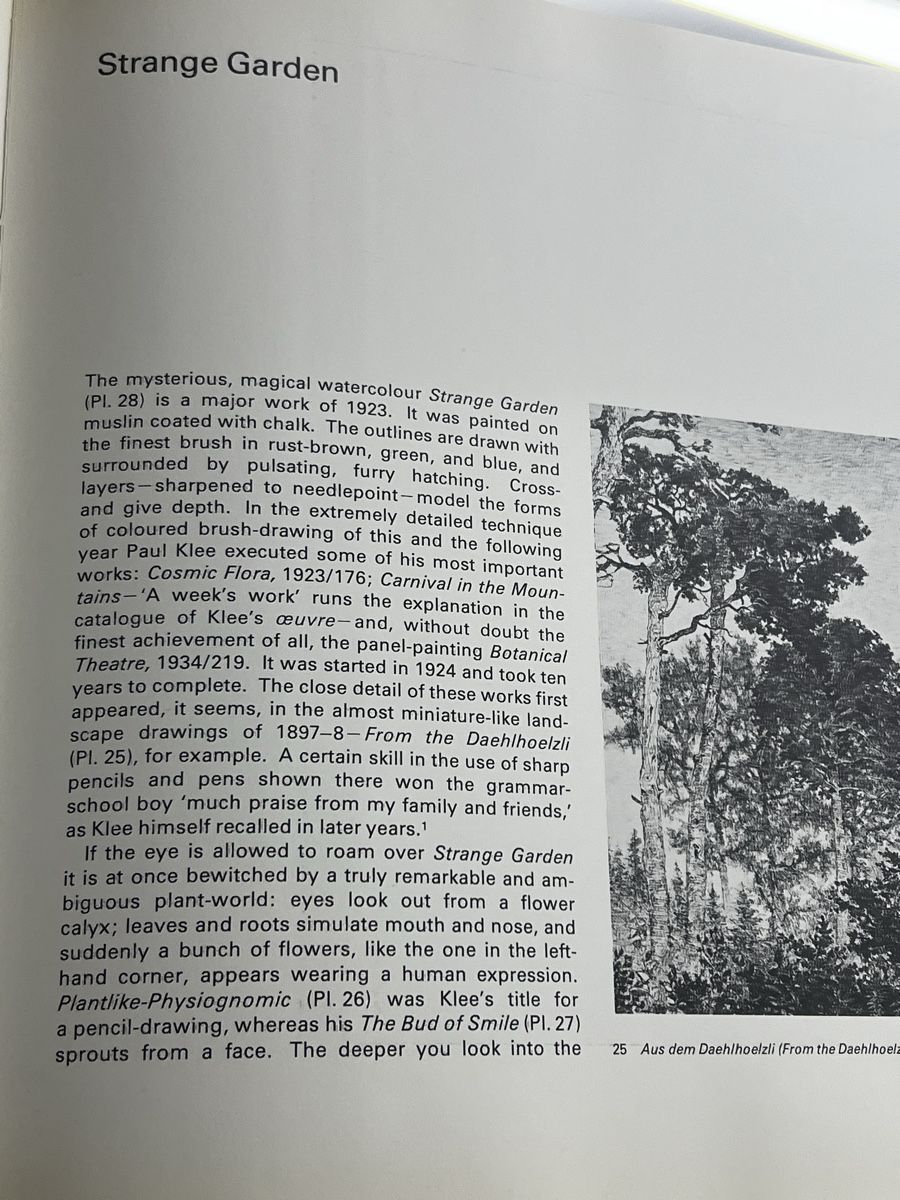Libri: Paul Klee and the Bauhaus – Usato da Wettingen venduto da NickInc 3
