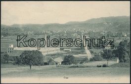 ZH Elgg