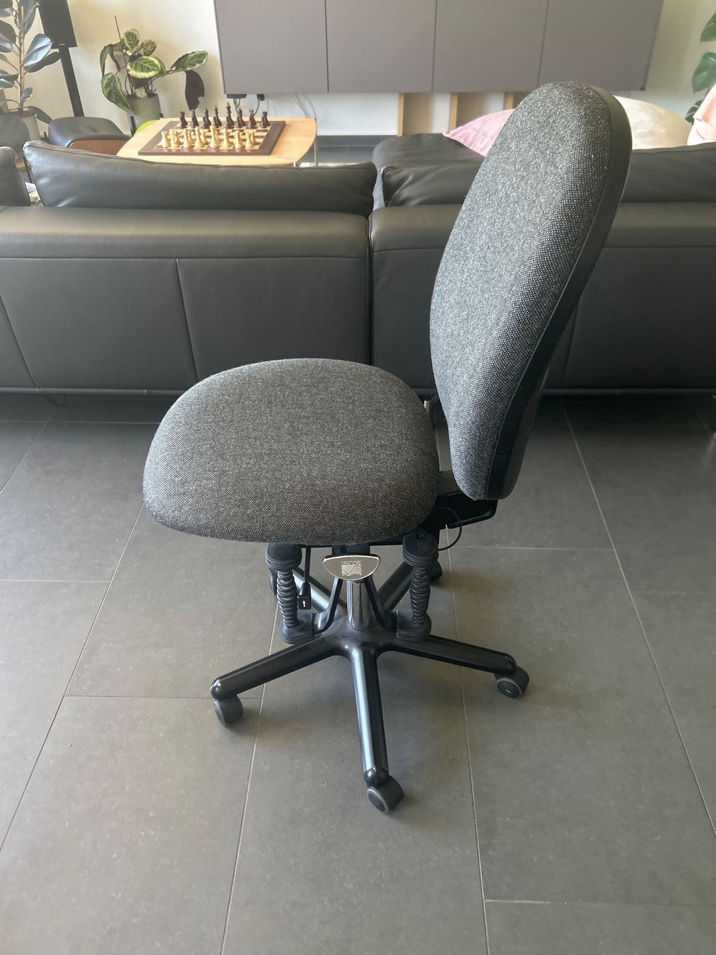 Sedie: Haider Bioswing Bürostuhl / Gesundheitsstuhl – Usato da Uetikon am See venduto da Donbus 1