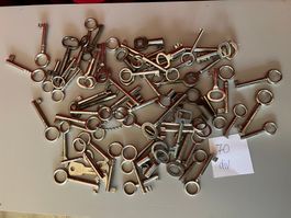 Schlüssel diverse klein (1)