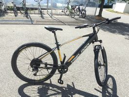 Trelago Furly II 29" E-MTB – Top-Zustand, inkl. Garantie