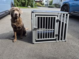 Hundetransportbox Aluminium schwarz silber 