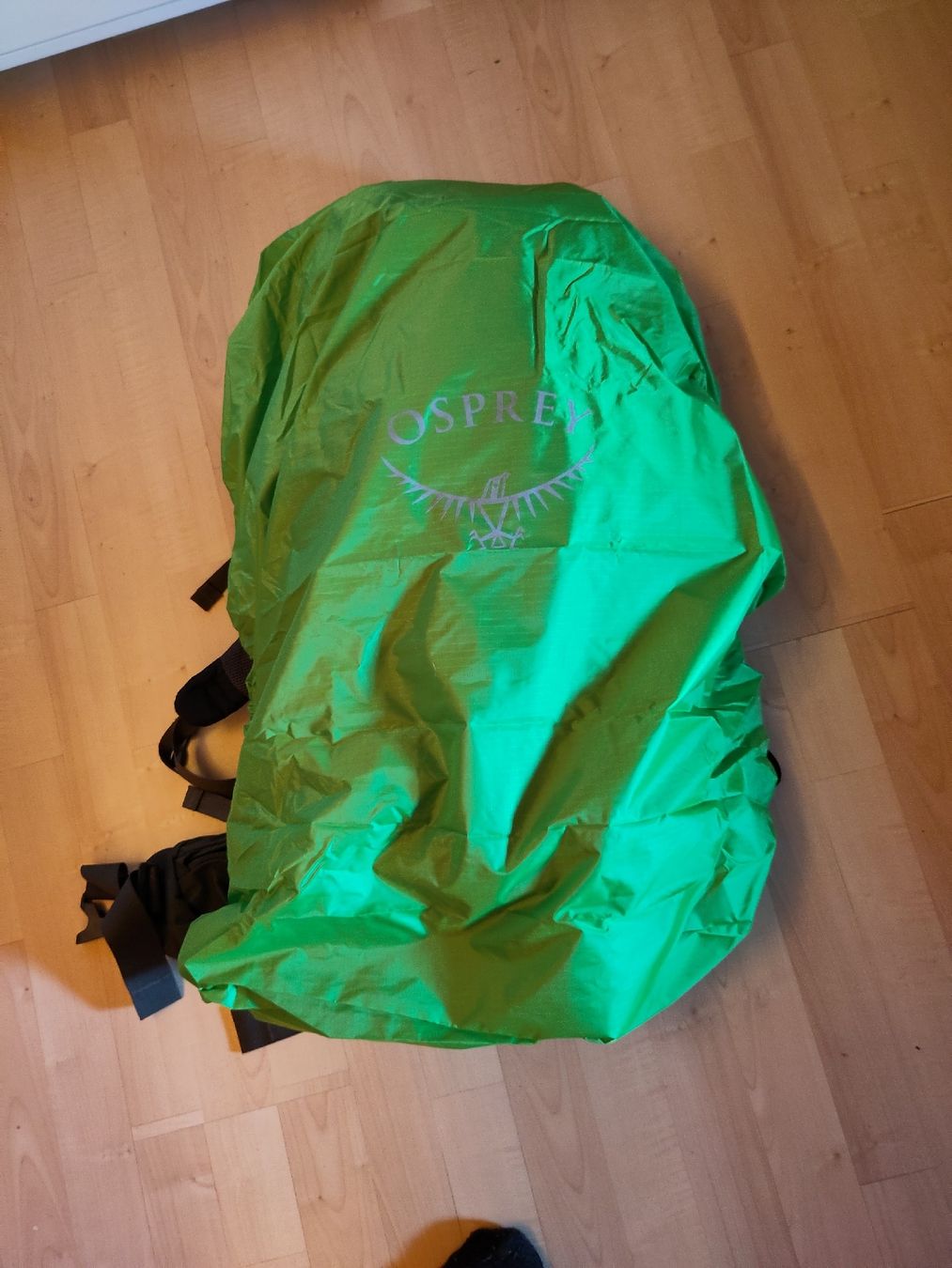 Osprey Sacs à dos: Osprey Kestrel 38l Rucksack – D'occasion à Feldis/Veulden par 94BAM 3