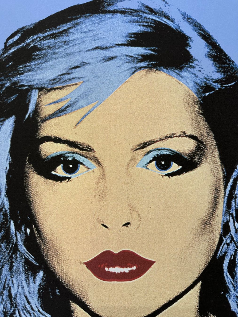 Dipinti: Warhol: Debbie Harry, POP Art 12/100 – Nuovo (secondo la descrizione) da Meilen venduto da Smgdesign 5