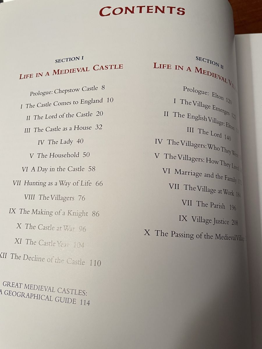 Libri: Daily Life in Medieval time – Usato da Sins venduto da Patrickwe 1