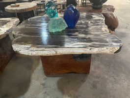 Tisch Fossil Couchtisch Versteinertes Holz petrified wood