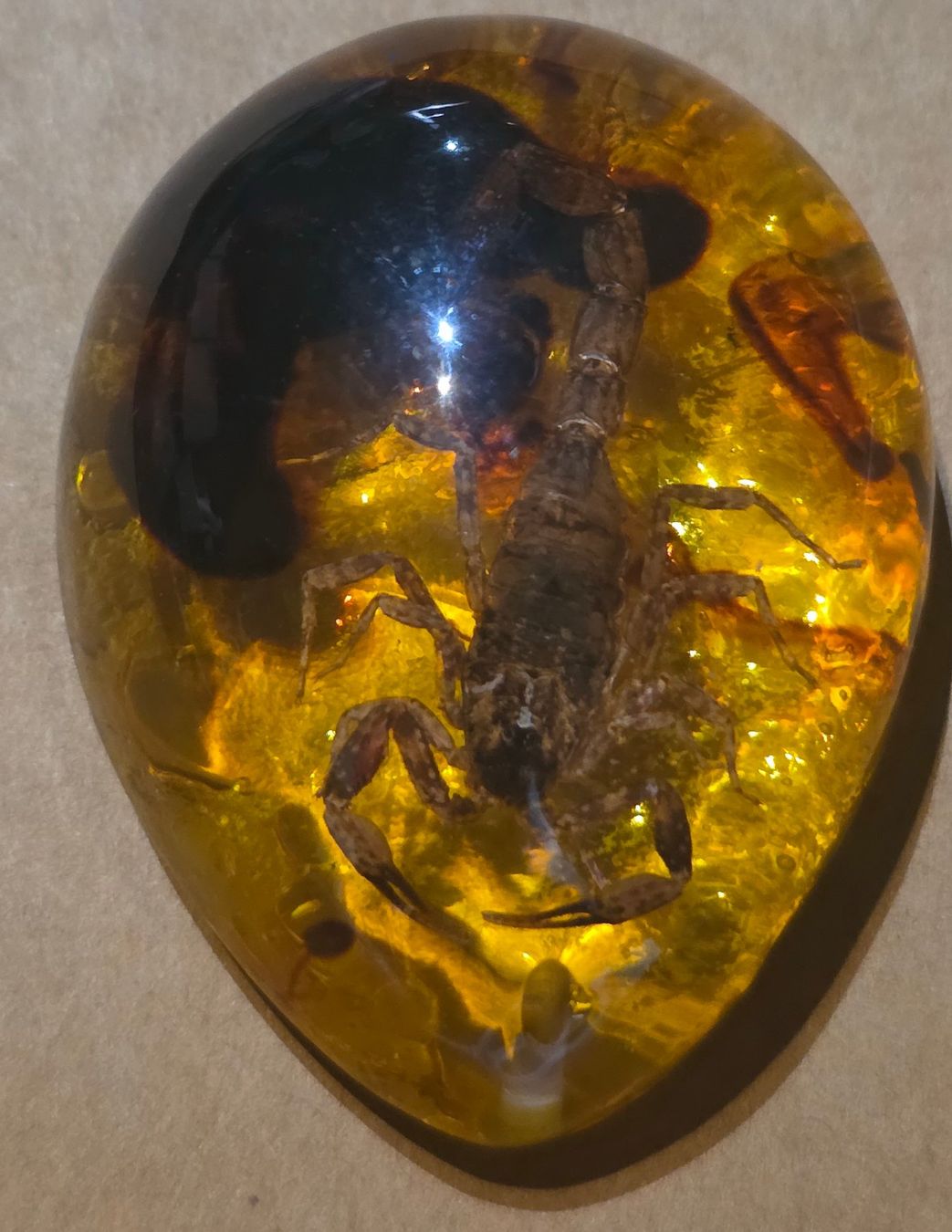 Minerali & Pietre curative: 176.8 ct Vrai Scorpion – Usato da Carouge GE venduto da Crystal_Energy 1