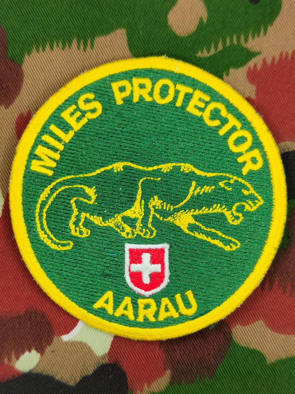 Schweizer Armee Placchette & Badge: Verbandsabzeichen Durchdienerschule 14 – Usato da Bauma venduto da SwissMilitaria