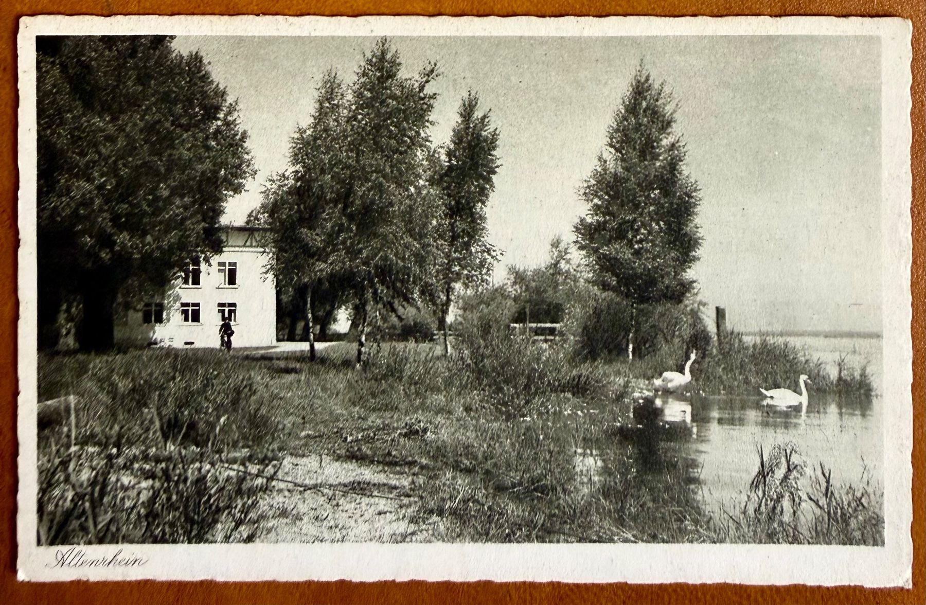 Ansichtskarten: Altenrhein - Bodensee 1934 – Gebraucht aus Lutry von Ediego