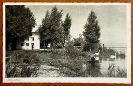 Altenrhein - Bodensee 1934