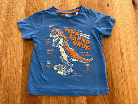 Dinosaur T-Rex T-Shirt Grösse 104 Top Zustand!