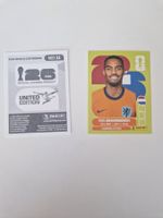Panini Sticker NED11