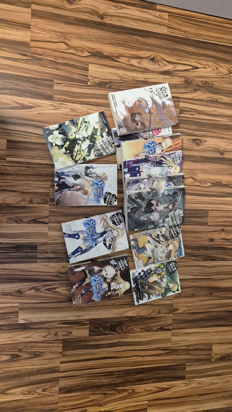 Fumetti: danmachi light novel et manga – Usato da Renens VD venduto da BrickB1
