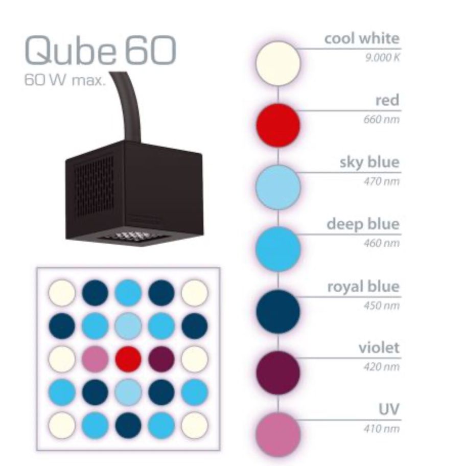 Lampade: Aqua Medic Qube 60 – Usato da Vordemwald venduto da ric_m6vq 1