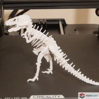 T-Rex Skeleton Kit Card 3D Printed Puzzle White