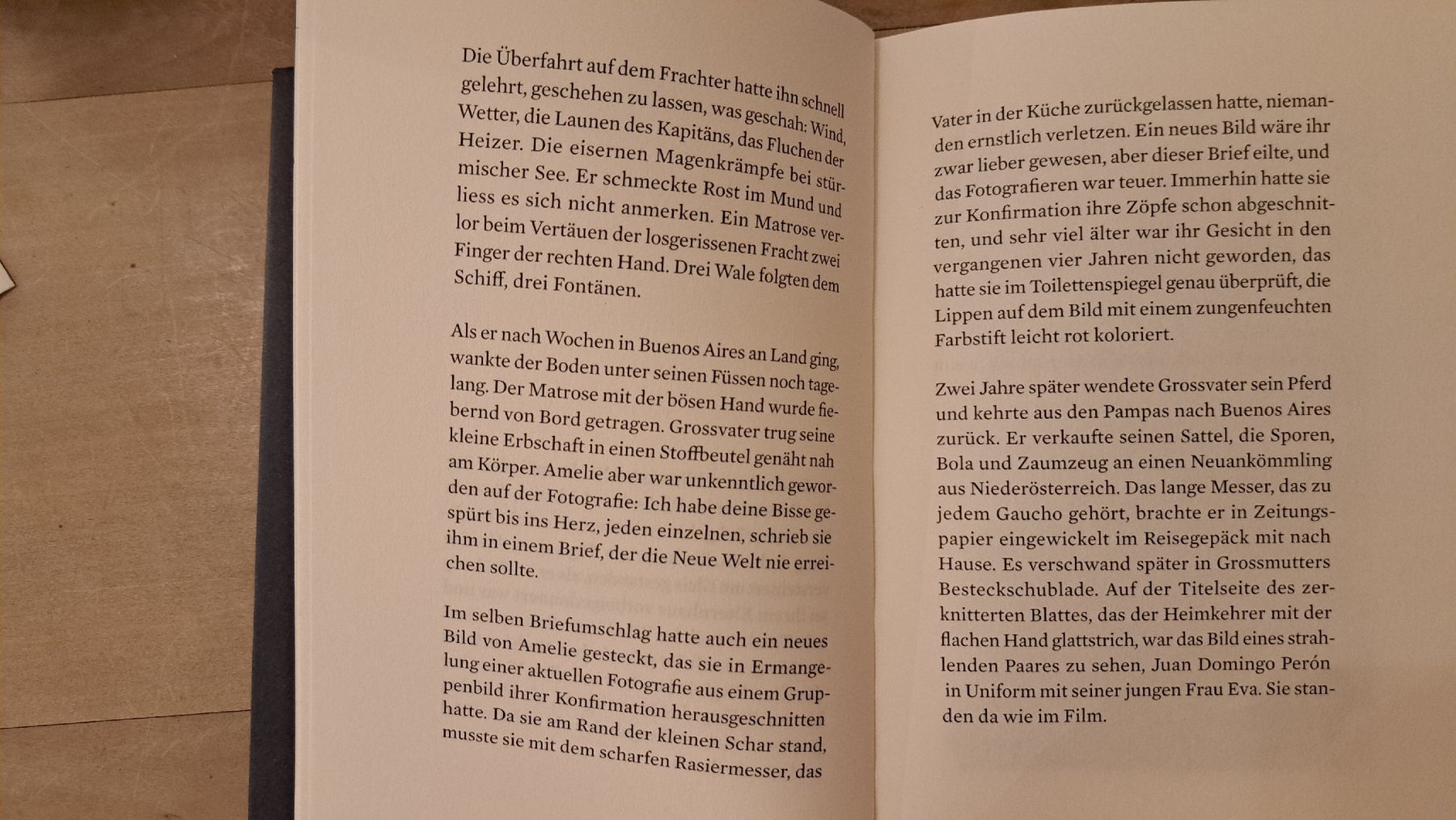 Libri: Klaus Merz, Der Argentinier, Novelle – Usato da Zürich venduto da chusel 8