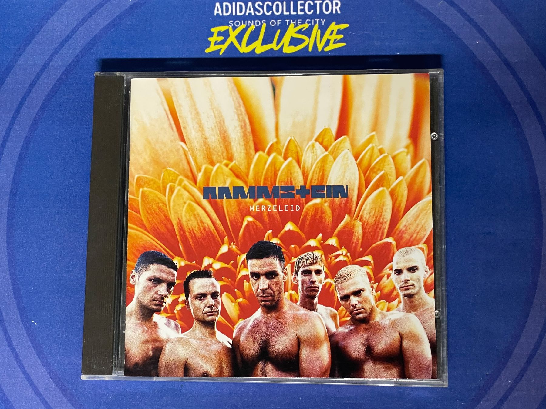 CD: Rammstein - Herzeleid – Usato da Muri b. Bern venduto da AdidasCollector