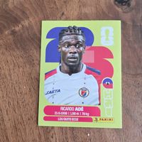 Panini HAI6 Ricardo Ade 