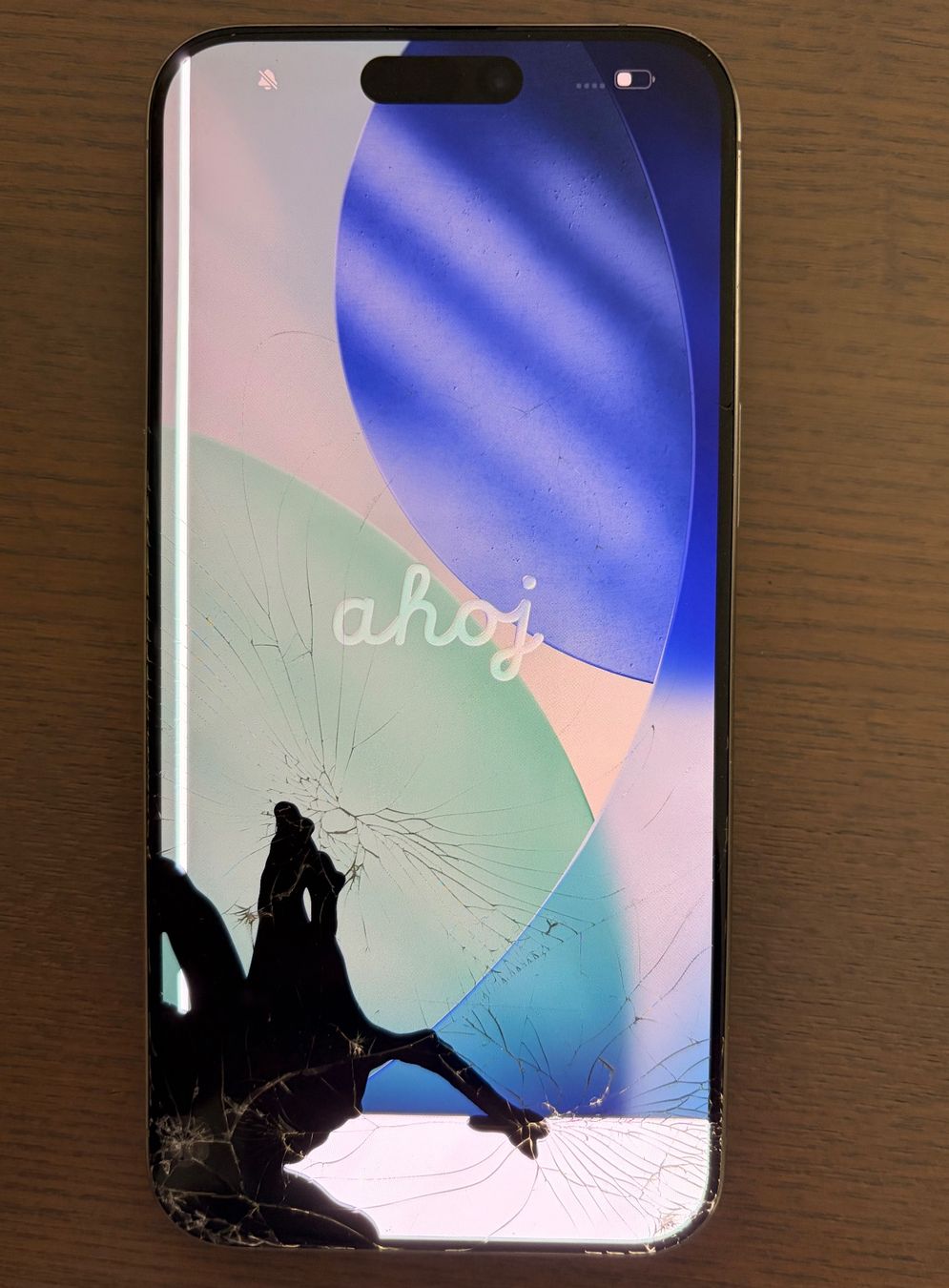 Apple Handys / Smartphones: iPhone 14 Pro Max 256 GB titanium Displaybruch defekt – Defekt aus Erlinsbach von Willes 1