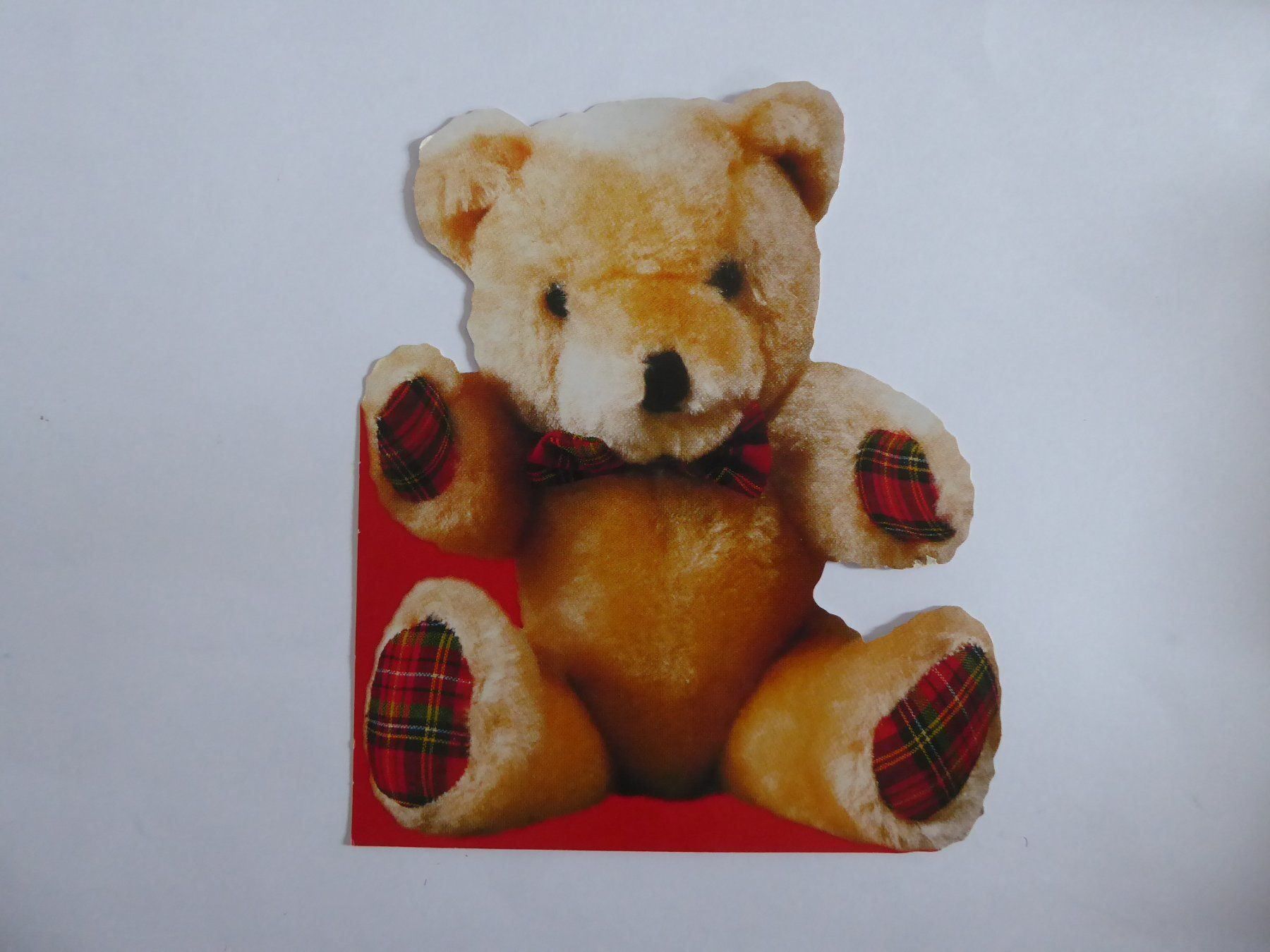 Cartoline postali: Schöne Teddy Postkarte, Grösse: 15 x 18cm – Nuovo (secondo la descrizione) da Turbenthal venduto da Panau