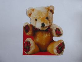 Schöne Teddy Postkarte, Grösse: 15 x 18cm